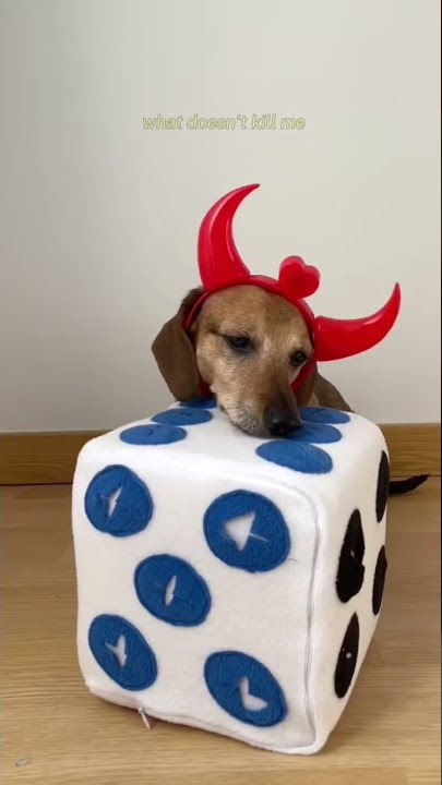 Devils roll the dice 😈🎲 #taylorswift #halloween #swiftie