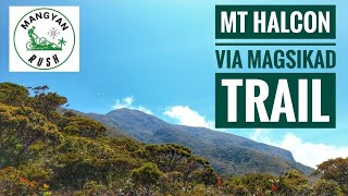 Mt. Halcon Magsikad/Aleba Trail