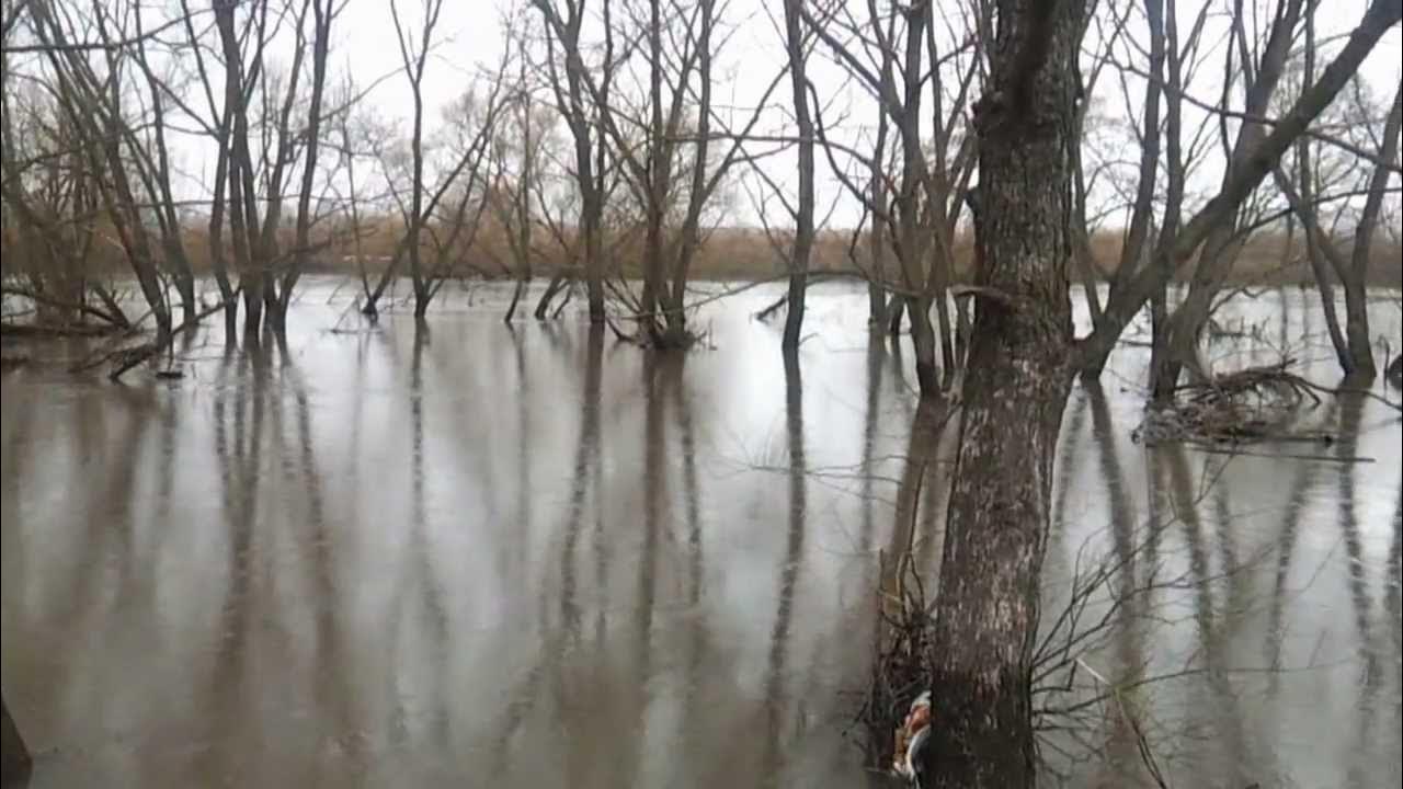Половодье видео. Паводок в радице. Наводнение в россии 2019 иркутск. Город тулун наводнение 2019. Паводок ишим 2016.
