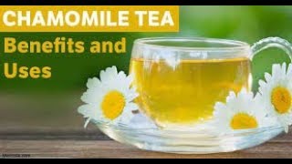 Chamomile Tea: Sa Tulog at Tiyan - by Doc Willie Ong #758