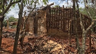 Homes, Farms, and Lives Destroyed in Côte d’Ivoire’s Forests
