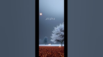 سورة القمر - الآية 45 ،سيهزم الجمع ويولون الدبر #قران_كريم ‎%#قران #كرومات_قرآن