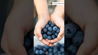 🫐 Cultiva Arándanos en Casa Fácilmente, cultivo de Arándanos 🫐 en Maceta #plantas #arandanos