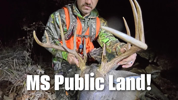 5 Deer In 5 Days! 2 Bucks! Both On Mississippi Public!