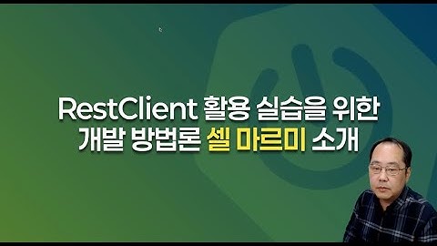 개발 방법론 셀 마르미 소개