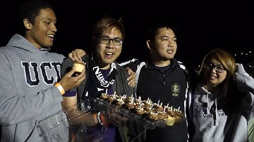 VSA at UCD Spring Recap 2016