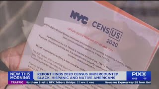 Minority groups missed at higher rate in 2020 census