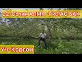 АЛМА БАК САТЫЛАТ ☎️ +996558889916, Ватсап:+79607816916