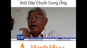 Tôm Giống Hanh Hiệu | Ngành thủy sản chặn nguy cơ đứt gãy chuỗi cung ứng.