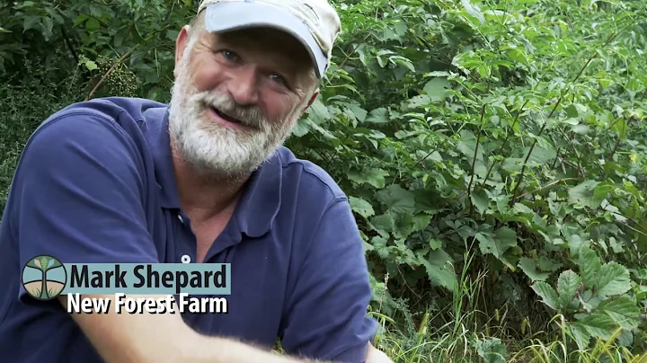 Mark Shepard - Pioneer Agroforestry Farm Tour Vide...