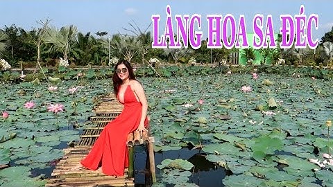 CÁNH ĐỒNG HOA HỒNG Ở LÀNG HOA SA ĐÉC  - XUÂN 2020 -  Hương Vị Miền Tây
