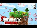 Minecraft Skyblock, but you only get ONE BLOCK.. (hardcore) #2