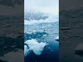 🥶3 fakta menarik tentang Antartika. #antarctica #faktaunik #alam #foryoupage #faktamenarik