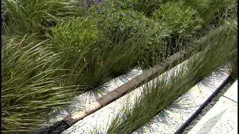 Beautiful High Line Section 2