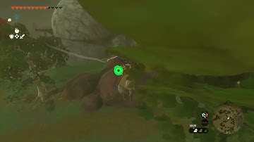 [DAY 460] of finding one korok seed in TotK everyday until we get them all