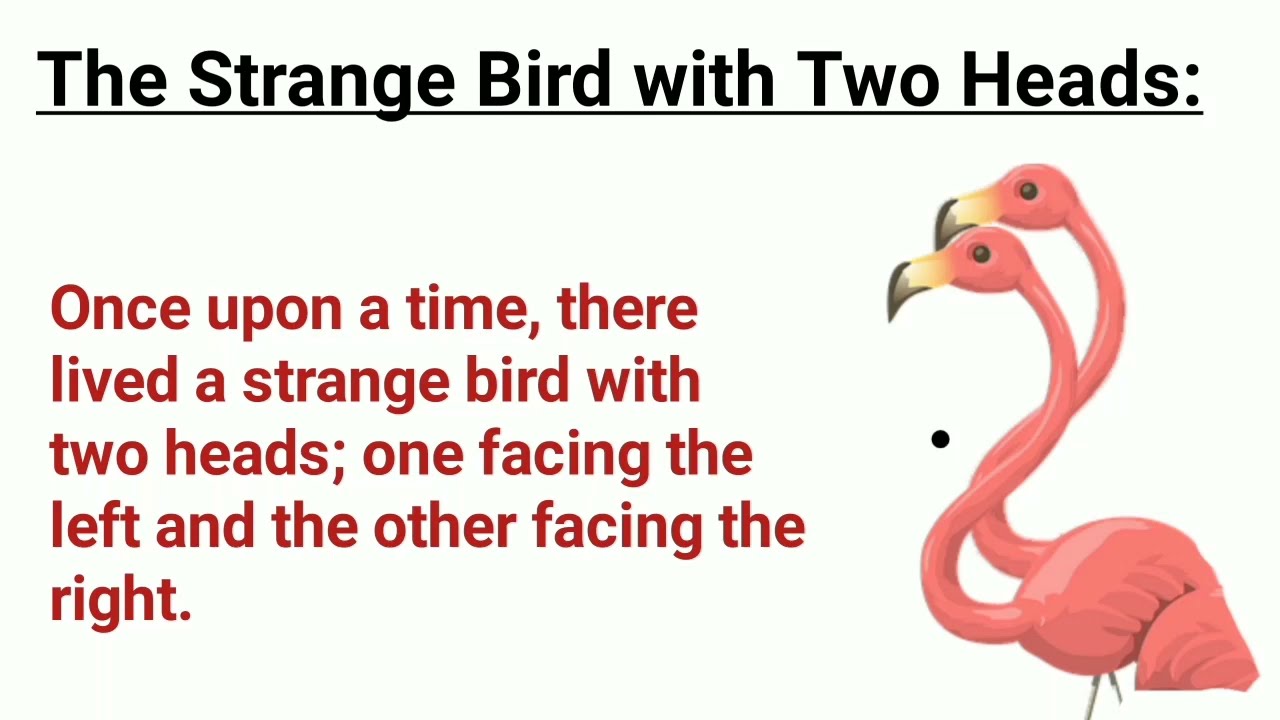 strange bird