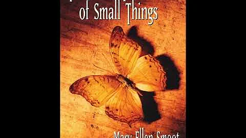 Mary Ellen Smoot - The Great Power of Small Things