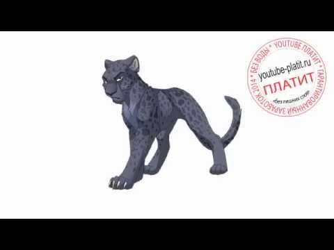 фото кота обиженного