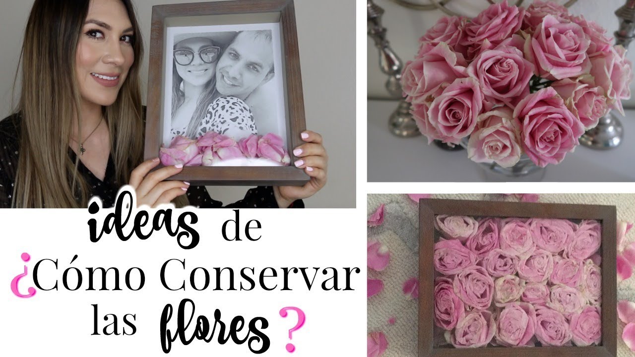 IDEAS DE COMO CONSERVAR LAS FLORES || MELISSA TORRES - YouTube