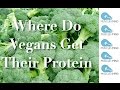 The Best Vegan Muscle Building Foods (Objective) - Calories from Protein