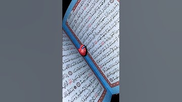 سورة المؤمنين #تلاوة_خاشعة #تلاوة_هادئة #خواتيم_سورة_المؤمنون #اسلام_صبحي #قرآن_كريم #سورة_المؤمنون