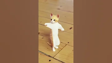 بيو بيو احمد محسن 