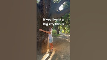 Do you hug trees? #earthing #grounding #tree #treehugger #hippie
