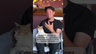 Les 12 Archanges &amp; l’Alignement Galactique | Matias De Stefano