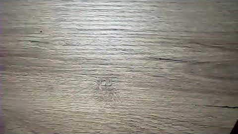 11 03 Design of Band Limited Signals with Controlled ISI—Partial Response Signals ARABIC