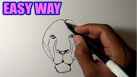 How to draw a lion face step by step for beginners | EASY and SIMPLE DRAWING