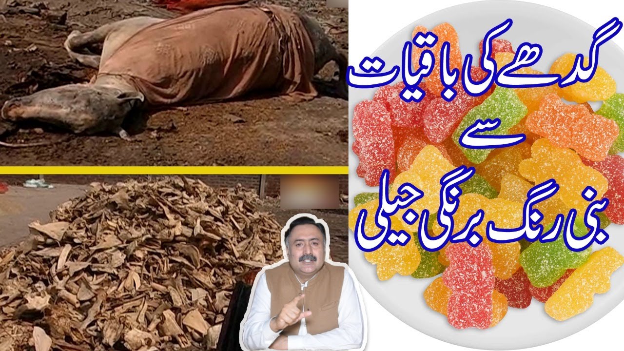 Colorful Jelly Shocking How Gelatin Based Jelly Beans Are Made? YouTube