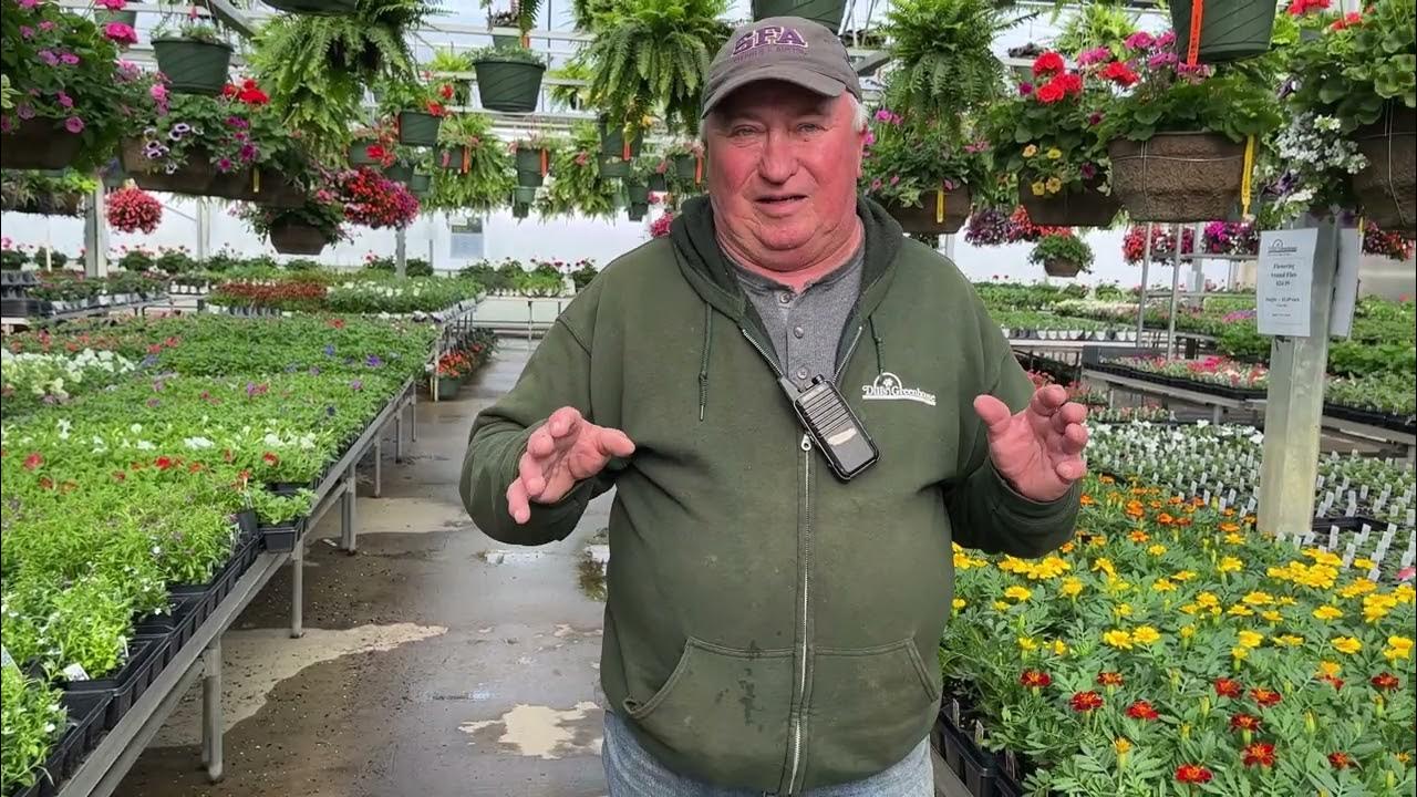 This week's (4/24/23) sales at Dill's Greenhouse YouTube