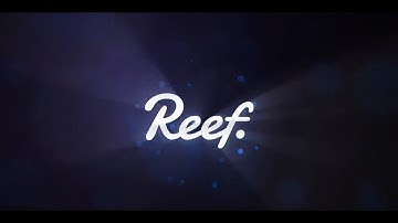Why Choose Reef Chain Over Others: Discover the Advantages