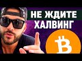 Биткоин пронгоз. Когда будет рост криптовалют. Bitcoin халвинг #alexhodl #hodl