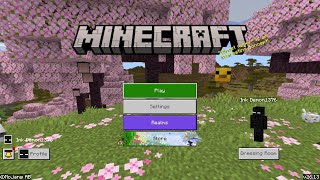 My Minecraft Bedrock Edition in PS5 is latest version