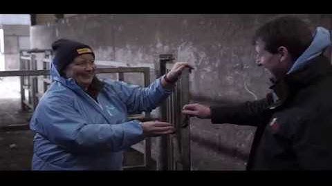 Handle Cattle Safely - Practical based seminar