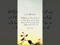 #Zeeshan#Ali#unfeerz my account like kara shar kara follow kara shokria my all farnds