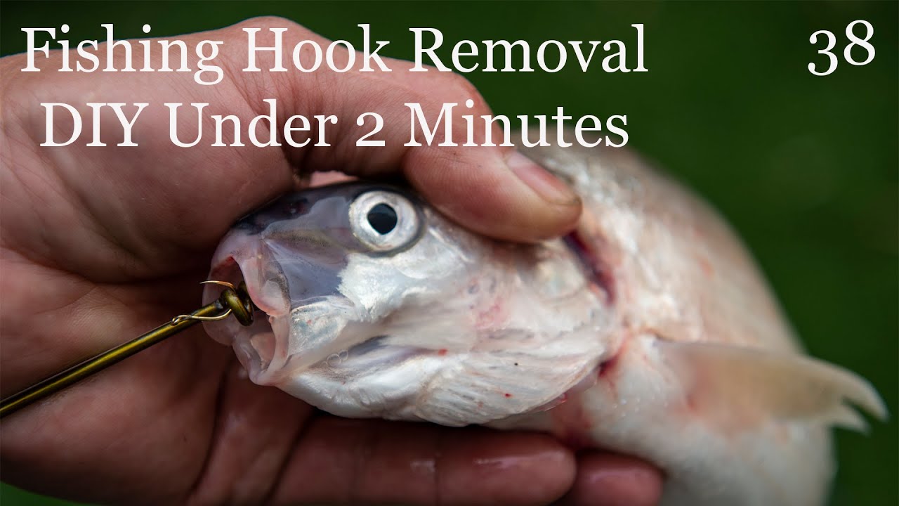 How to Unhook a Fish with a Fishing Hook Removal Tool