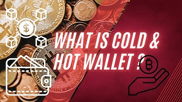 Crypto Wallets Explained: Hot vs Cold