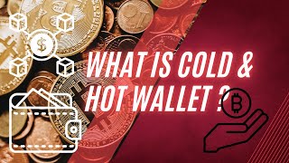 Crypto Wallets Explained: Hot vs Cold