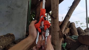 Cách sử dụng dây an toàn trèo cây leo cây hái lan bắt ong cưa cây 0335636421