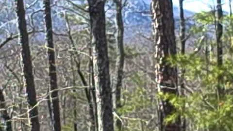 SUZANNE EDDY REALTOR PRESENTS- For Sale:Lots 37 & ...