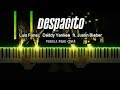 Luis-Despacito on synthesizer