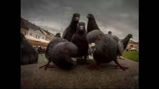 HIP HOP -fee-BEAT INSTRUMENTAL RAP UNDERGROUND BOOM BAP STYLE 90S FREESTYLE TYPE OLD SCHOOL RAP