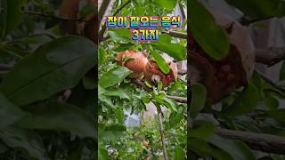 "잠이 잘오는 음식" #숙면에 좋은음식 3가지 #건강정보 #건강생활 #건강밥상
