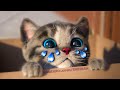 My Favorite Cat Little Kitten Preschool -  Play Fun Cute Kitten Care Games For Kids Children