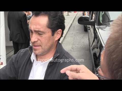 Demian Bichir