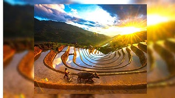 tiên cảnh ruộng bậc thang mù cang chải