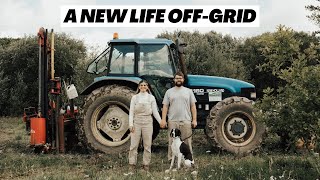 Turning abandoned land into an offgrid homestead. We sold everything for this?!