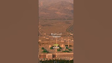 أن تقول نفس يا حسرتى على ما فرطت في جنب الله_سورة الزمر_تلاوة عذبة بصوت الشيخ فارس عباد_#quran